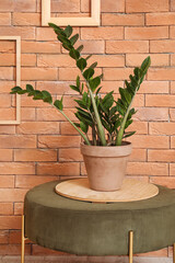 Green houseplant on pouf near brick wall in room