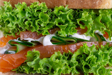 Sandwich with fresh salmon, lettuce, cucumber and sauce. Homemade. Healthy fast food.  Close-up