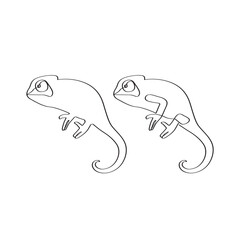 Veiled chameleon continuous one-line drawing Chamaeleon elegant minimalist artwork. 