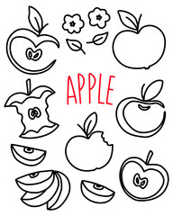 Apples set with whole and cut apples, apple slices, flowers hand drawn with thin line. Png clipart isolated on transparent background