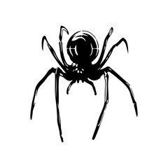 vector illustration of black spider