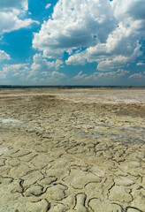 Sun-dried dead crustaceans Artemia salina on cracked therapeutic mud in the Kuyalnitsky estuary in...