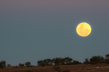 Full moon in the Kgalagadi, Kalahari