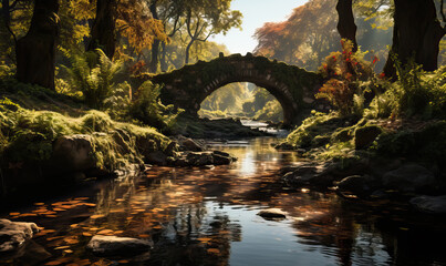 Fototapeta premium Natural landscape, bridge in the park on a summer day.