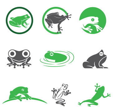 Frog vector element design, logo icon design, frog, vector, animal, illustration, green, symbol, nature, cartoon, icon, cute, lizard, sign, design, alphabet, art, letter, paint, amphibian, dragon