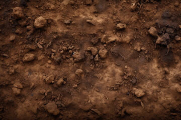 Brown soil close-up. Lumps of earth.