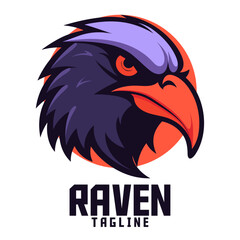 Illustrated Raven: Logo Design, Mascot Art, Vector Illustration for Sports and E-Sport Gaming Squads, Crow Mascot Head