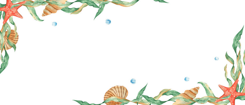 Seaweeds, seashells, red starfish and water bubbles. Watercolor horizontal banner, frame. Hand drawn illustration. Perfect as a web banner, card and invitation template, for marine design.