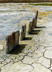 Ancient wooden piles in the Kuyalnitsky estuary