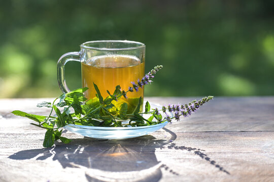 peppermint tea from fresh leaves in a glass cup and flowering twigs next to it on a rustic wooden garden table on a sunny day, green background, copy space