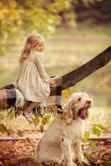 Little girl with white hair with dogs in the park in autumn