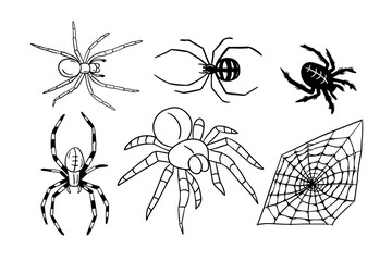 Hand drawn doodle set of different type of spiders and spider web. Sketch design for Halloween. Black sketch elements on white background. Good for coloring pages, stickers, tatoo.