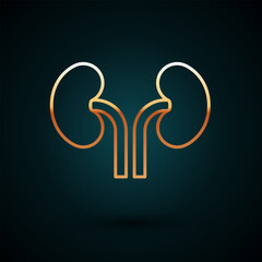 Gold line Human kidneys icon isolated on dark blue background. Vector