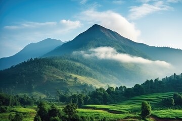 Amazing nature, Mountains and mist