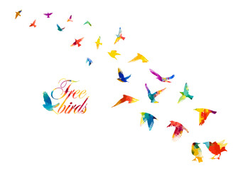 A flock of colored birds. Vector illustration