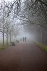 Couple walking in the fog
