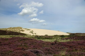 Wanderdüne auf der Insel Sylt, in der Nähe von List, Naturschutzgebiet, Top - Highlight der Insel Sylt, Deutschland