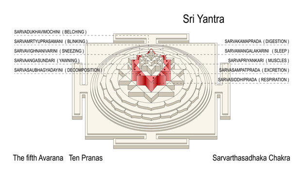 Sarvarthasadhaka Chakra. The fifth Avarana Ten Pranas. Life-Forces. Respiratory System.
Maha Meru Shree Yantra for Increasing Abundance Rectification Tool Vastu. Sri Vidya Devotional Item for Altar.