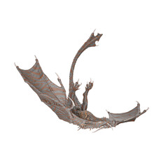 Obraz premium dragon is flying 