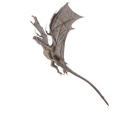 dragon is flying 