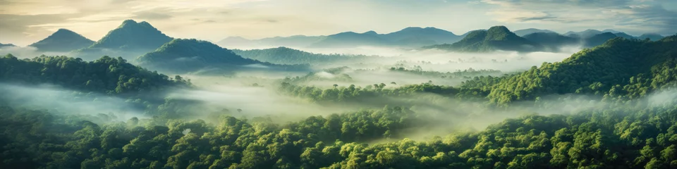 Poster Im Rahmen Tropical rainforest, lush and misty, early morning, landscape panorama, aerial view © Microgen