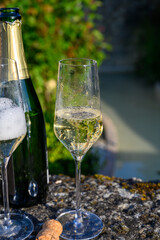 Tasting of premier cru sparkling white wine with bubbles champagne with view on old houses of Hautvillers, where lived Benedictine monk how developed champagne wine, France.