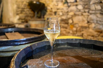 Tasting of grand cru sparkling white wine with bubbles champagne by old champagne caves in grand cru wine producer small village Cramant, Champagne, France