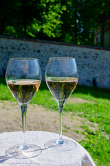 Tasting of premier cru sparkling rose wine with bubbles champagne with view on green pinot noir,...