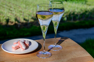Tasting of premier cru sparkling rose wine with bubbles champagne with view on green pinot noir,...