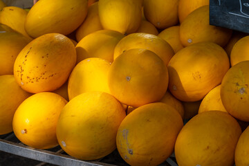 Yellow honey from Cavaillon, ripe round charentais honey cantaloupe melons on local market in Provence, France