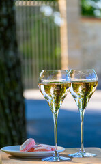 Tasting of premier cru sparkling white wine with bubbles champagne with view on green pinot noir, meunier vineyards of Hautvillers, France.