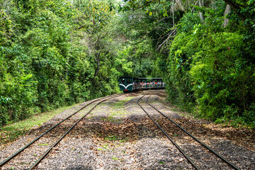 Rainforest Ecological Train at Iguazu Falls National Park in Argentina.
