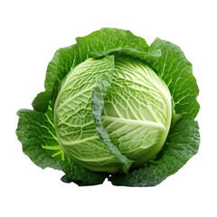 Obraz premium Green Cabbage Isolated on a Transparent Background
