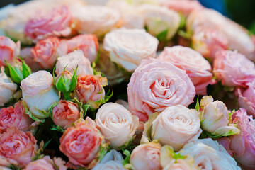 Large and beautiful bouquet of pink roses. 