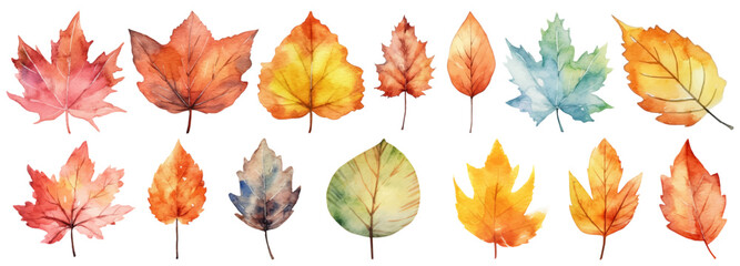 Watercolor autumn leaves collection