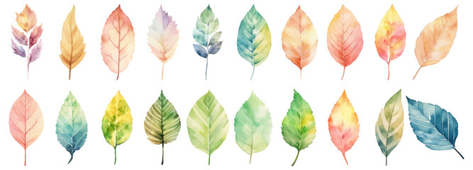 Watercolor autumn leaves collection
