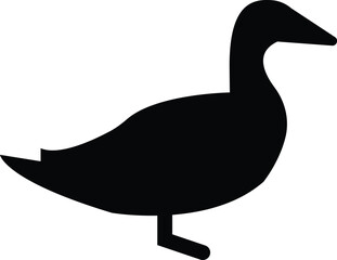 Big animals set for coloring book. Outline vector for children. Cute characters. Farm, forest and jungle animals.