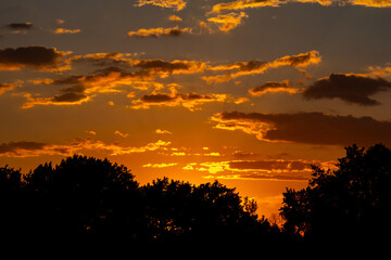Fototapeta na wymiar summer sunset in Liberty State Park, Jersey City, New Jersey