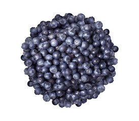 Blueberry berries in circle isolated PNG