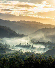 Paisaje de amanecer en Siguatepeque, Comayagua, Honduras. Con niebla y pinos.