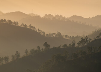 Paisaje de amanecer en Siguatepeque, Comayagua, Honduras. Con niebla y pinos. Silueta de las montañas