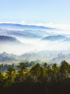 Paisaje de amanecer en Siguatepeque, Comayagua, Honduras. Con niebla y pinos.