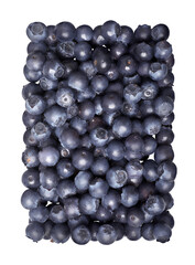 Blueberry berries isolated PNG