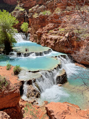 Obraz premium Turquoise tiered waterfall at Beaver Falls found within Havasupai Reservation, Grand Canyon surrounded by red rock. 