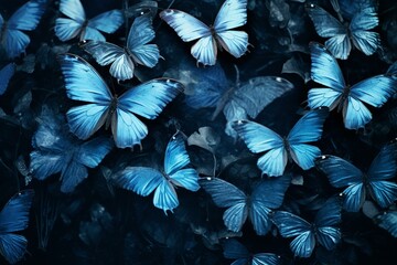 Blue-toned butterflies. Generative AI