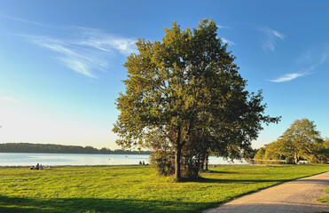 Einfelder See Wiesen am Badestrand 