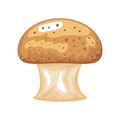 fresh mushroom vegetable icon design