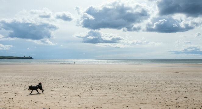 A panoramic view of Tramore Beach in Ireland