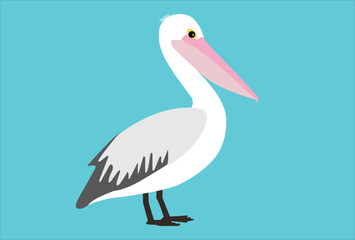 Pelican bird icon vector illustration