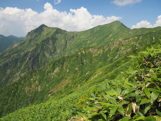 Fototapeta na wymiar 谷川岳の登りからオジカ沢の頭方面